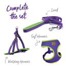 Kazoo Lead Purple and Lime