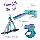 Kazoo Active Nylon Collar