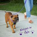 ACTIVE  NYLON COLLAR PURPLE LARGE