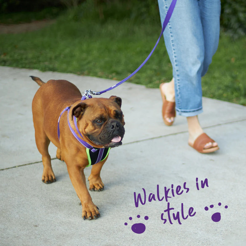 ACTIVE  NYLON COLLAR PURPLE MEDIUM