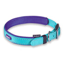 Kazoo Active Nylon Collar