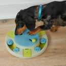 Kazoo Active Nylon Collar