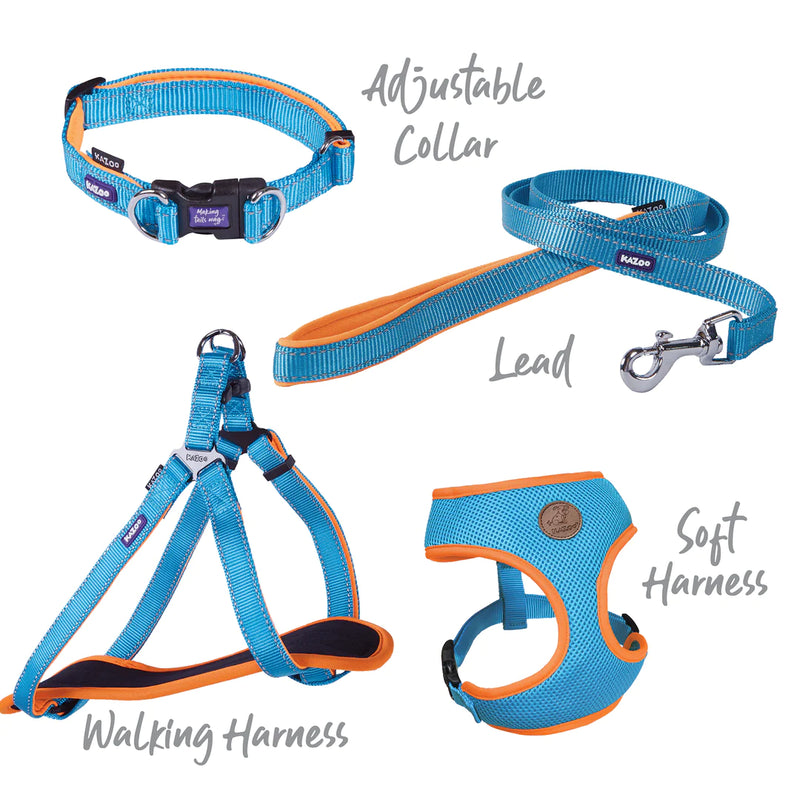 Kazoo Active Adjust Collar