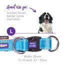 Kazoo Active Adjust Collar