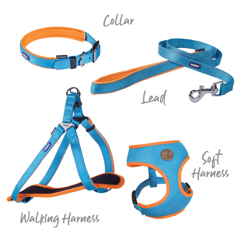 Kazoo Active Collar