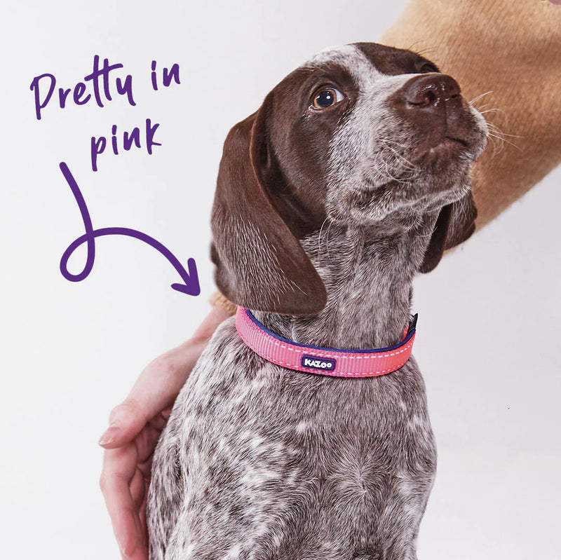 Kazoo Active Collar