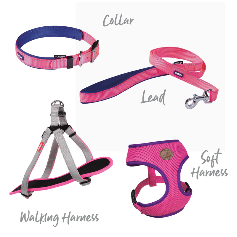 Kazoo Active Collar