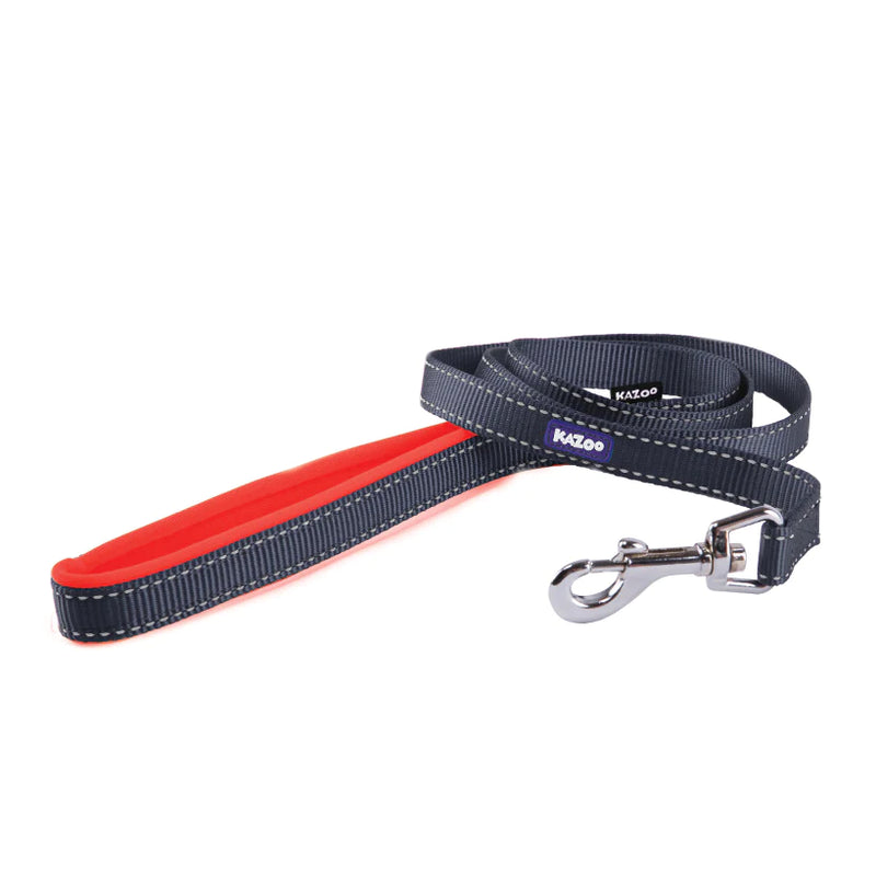 Kazoo Nylon Lead