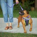 Kazoo Lead Purple and Lime