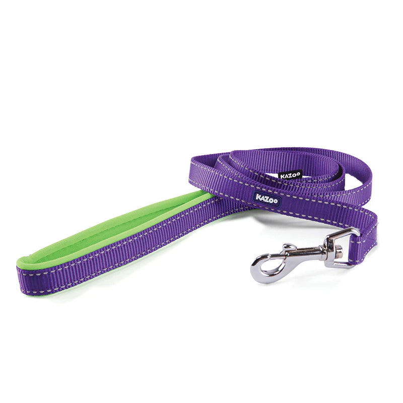 Kazoo Lead Purple and Lime