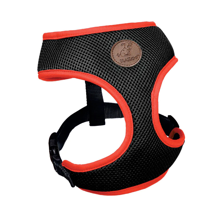 Kazoo Active Soft Walking Harness