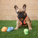 Kazoo Active Adjust Nylon Collar