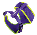 Kazoo Soft Walking Harness