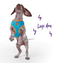 Kazoo Soft Walking Harness Ocean Sunrise