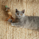 KAZOO SCRUFFY MOUSE CAT TOY