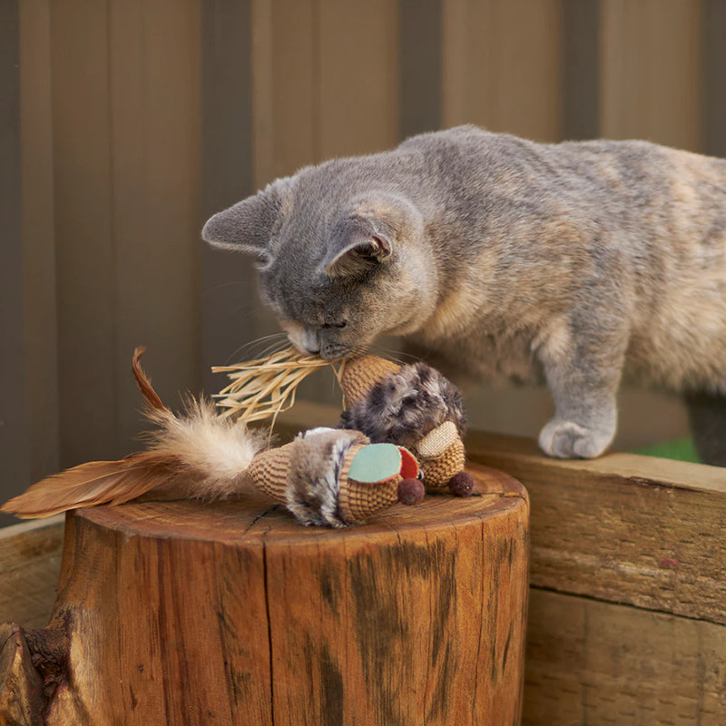 KAZOO SCRUFFY MOUSE CAT TOY