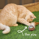 KAZOO SCRUFFY MOUSE CAT TOY