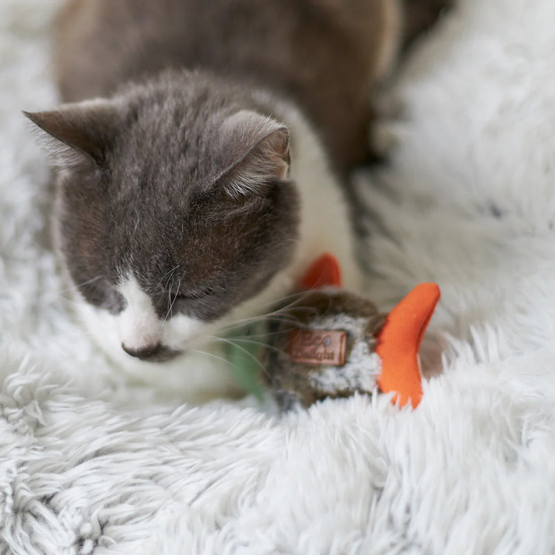 KAZOO SQUISHY FISH CAT TOY