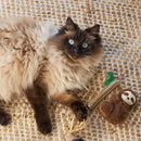 KAZOO JUNGLE SLOTH CAT TOY