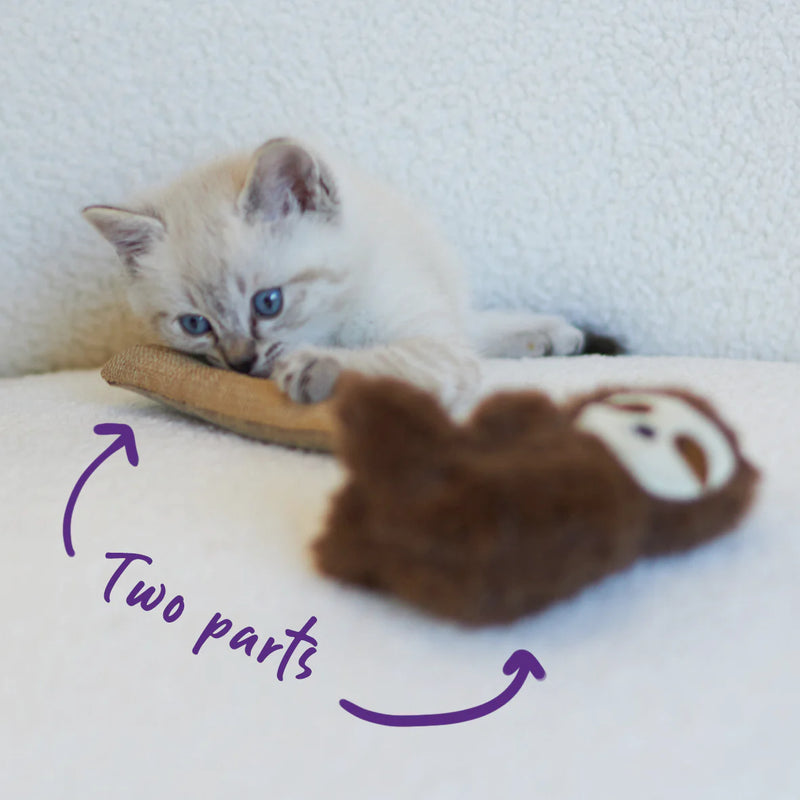 KAZOO JUNGLE SLOTH CAT TOY