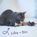 KAZOO SLEEPY SLOTH CAT TOY