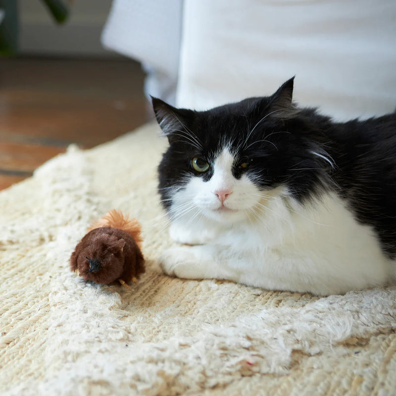 KAZOO SQUISHY SQUIRREL CAT TOY