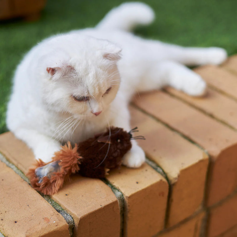 KAZOO SQUISHY SQUIRREL CAT TOY