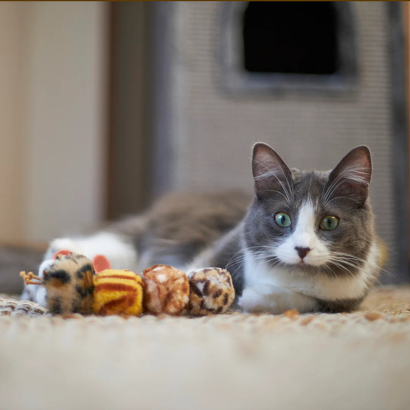 KAZOO VELCRO WORM CAT TOY