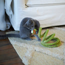 KAZOO SPRINGY SNAKE CAT TOY