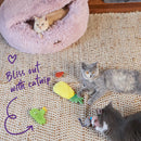 KAZOO SCRUFFY CACTUS CAT TOY