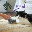 KAZOO KOALA CUDDLES CAT TOY