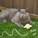 KAZOO NOISY BUSY BEE CAT TOY