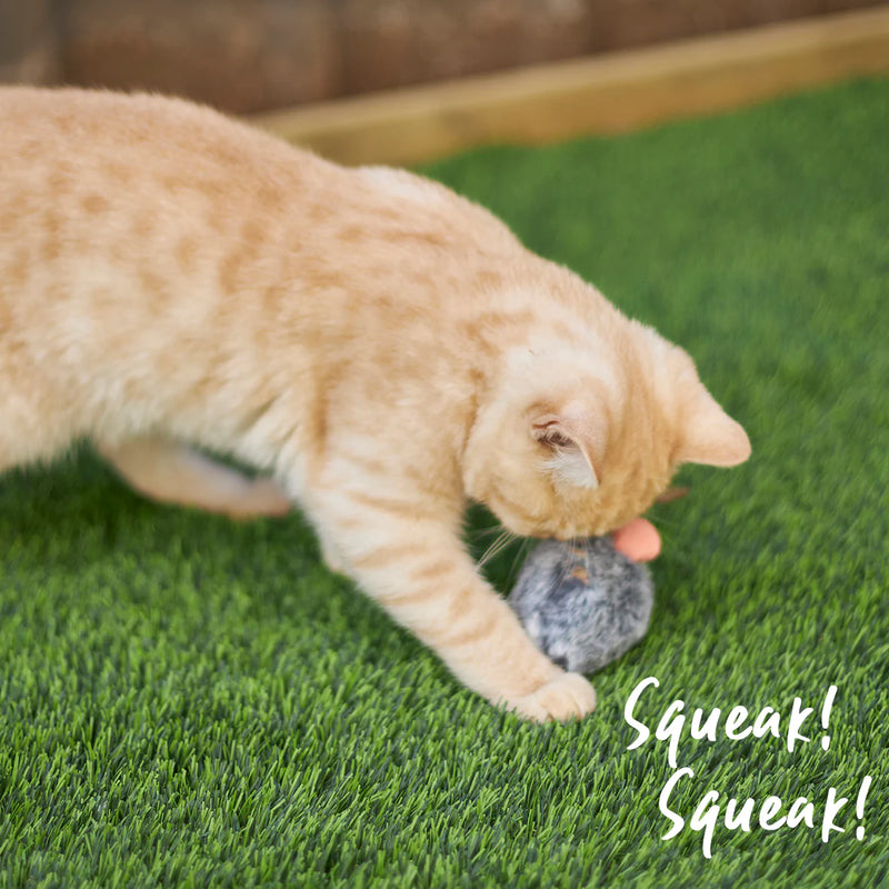 KAZOO NOISY MOUSE CAT TOY