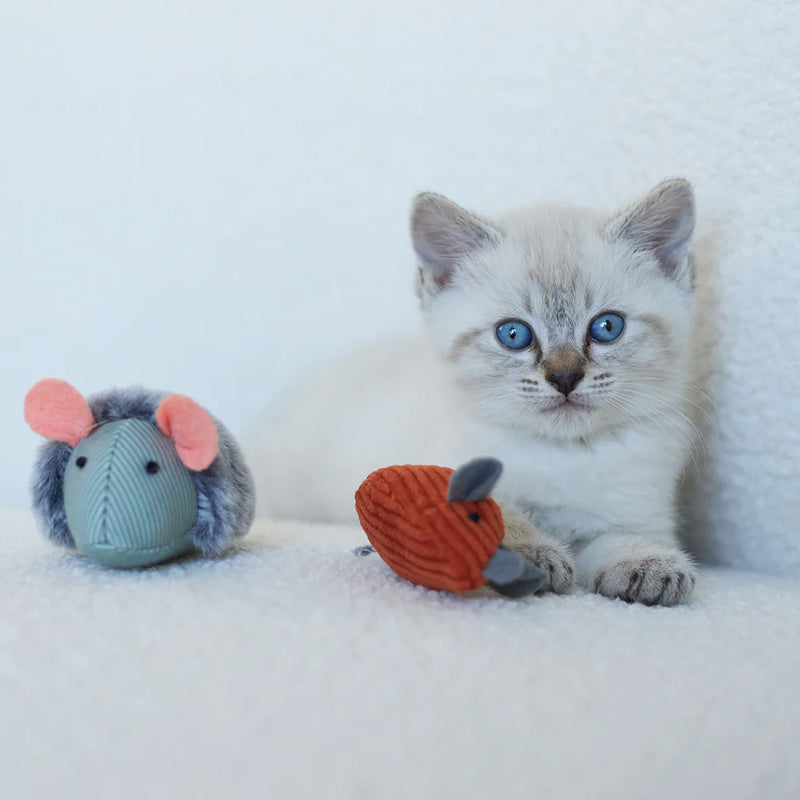 KAZOO NOISY MOUSE CAT TOY