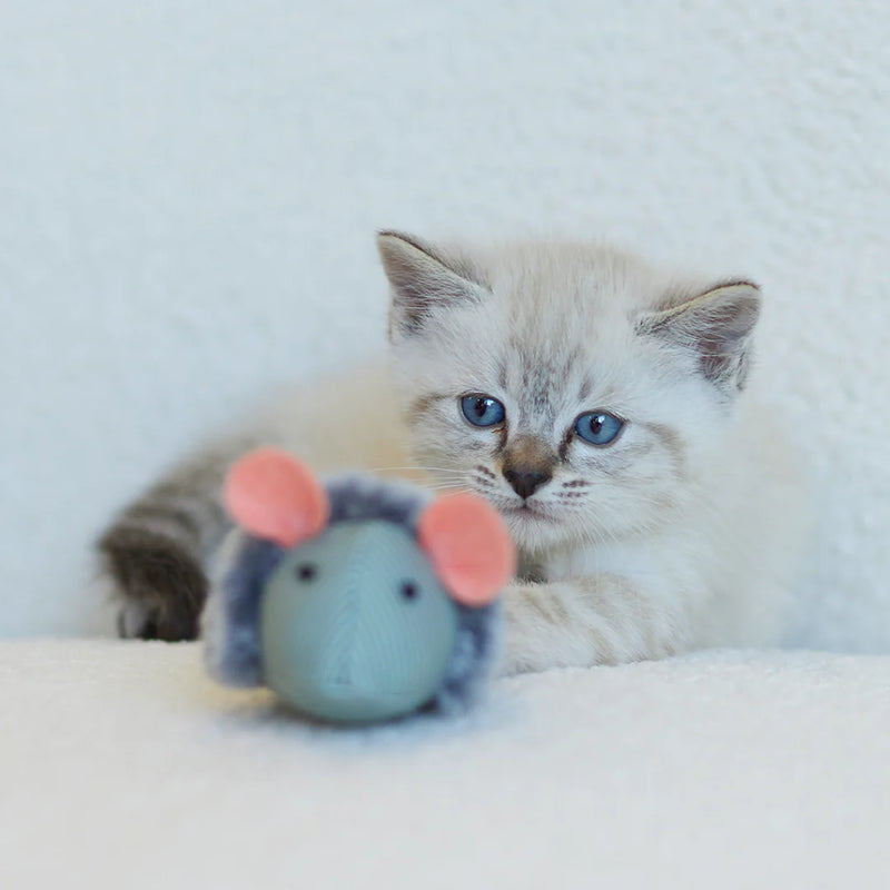 KAZOO NOISY MOUSE CAT TOY