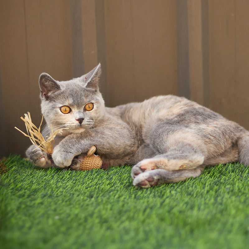 KAZOO SNEAKY MOUSE CAT TOY