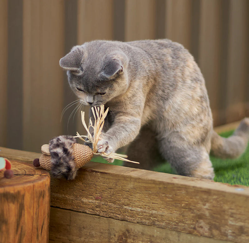 KAZOO SNEAKY MOUSE CAT TOY