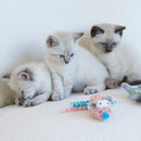 KAZOO PINKY MOUSE CAT TOY