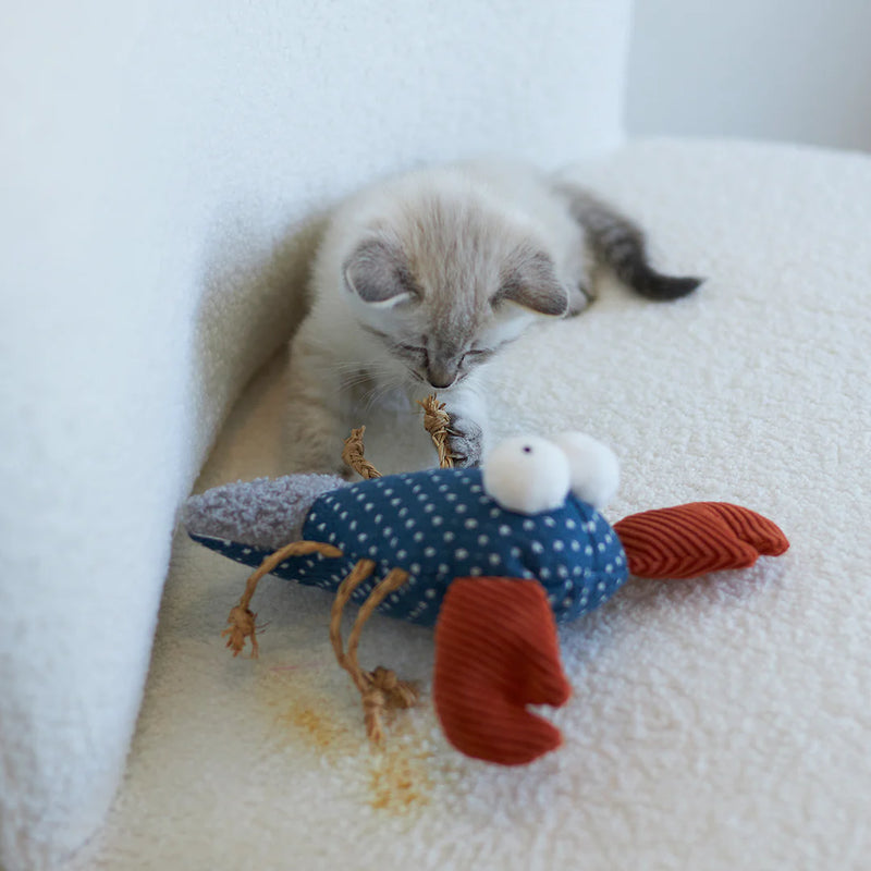 KAZOO SNAPPY LOBSTER CAT TOY