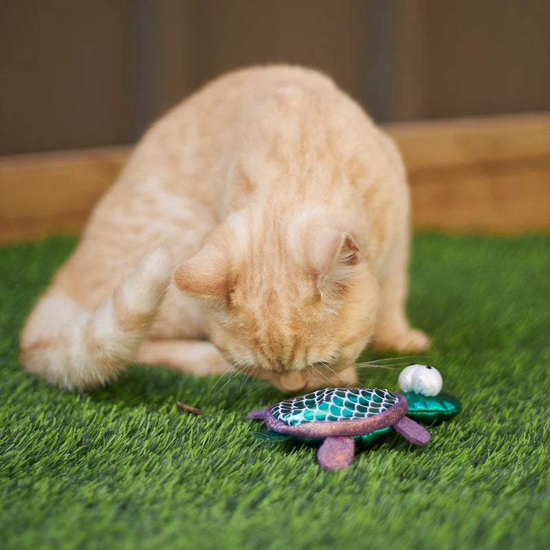 KAZOO SEA TURTLE CAT TOY