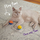 KAZOO KITTY JINGLE BALL