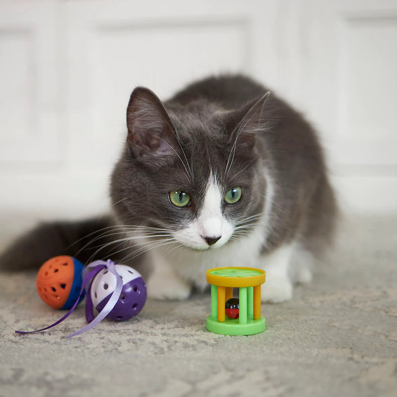 KAZOO KITTY BARREL RATTLE