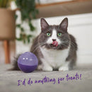 KAZOO KITTY TREAT BALL