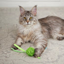 KAZOO KITTY WICKER BALL