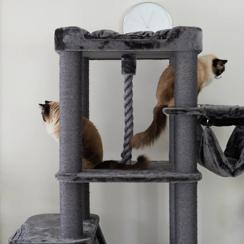 Kazoo Kitty Climb Playground