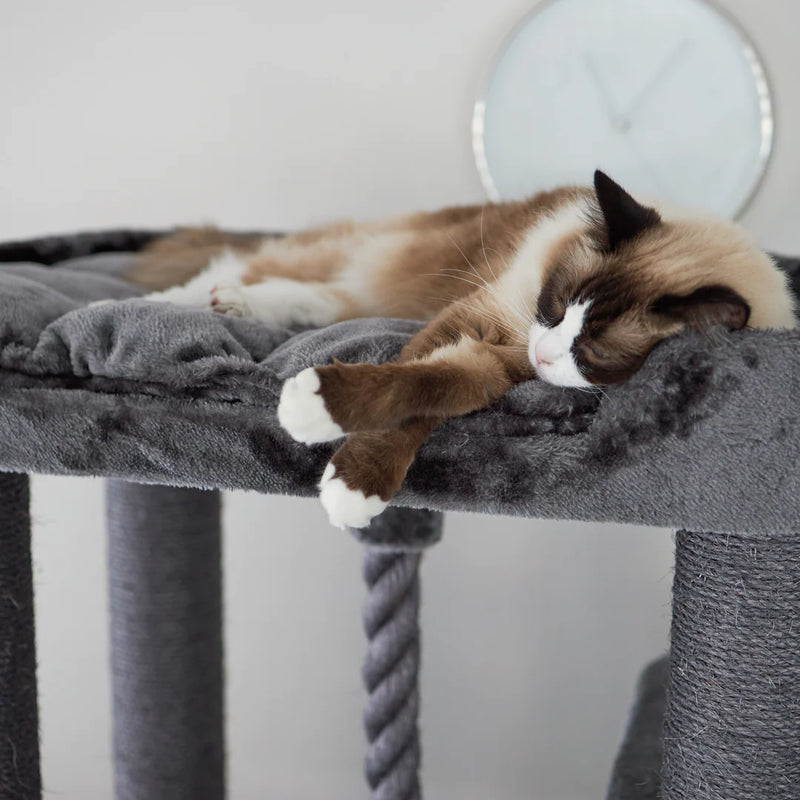 Kazoo Kitty Climb Playground