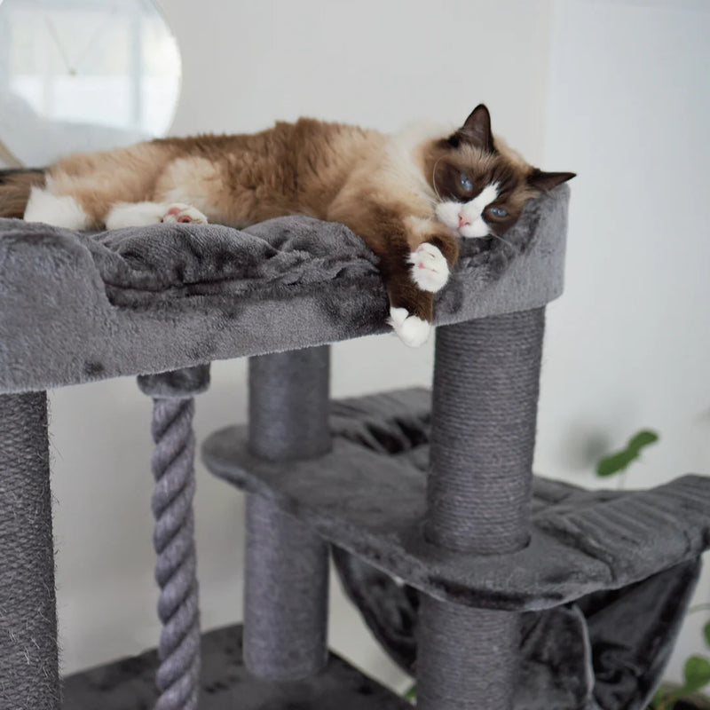 Kazoo Kitty Climb Playground