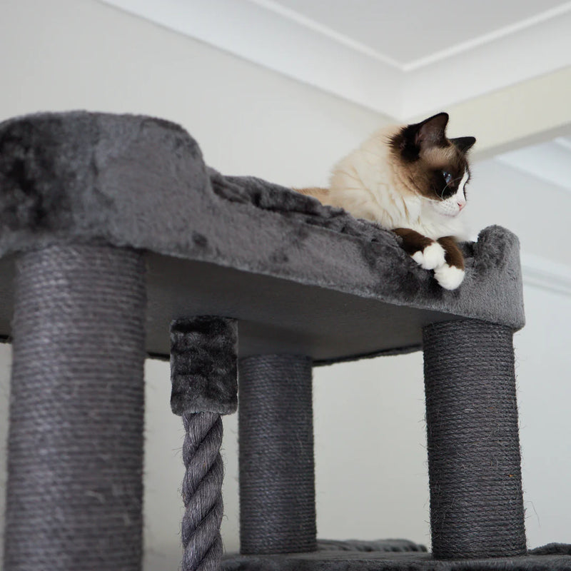 Kazoo Kitty Climb Playground