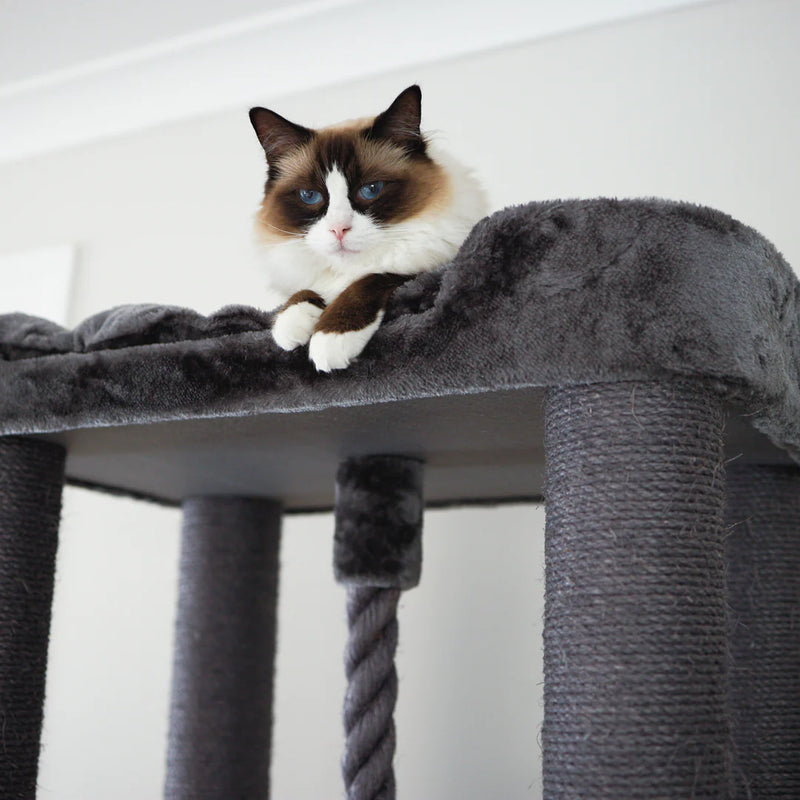 Kazoo Kitty Climb Playground