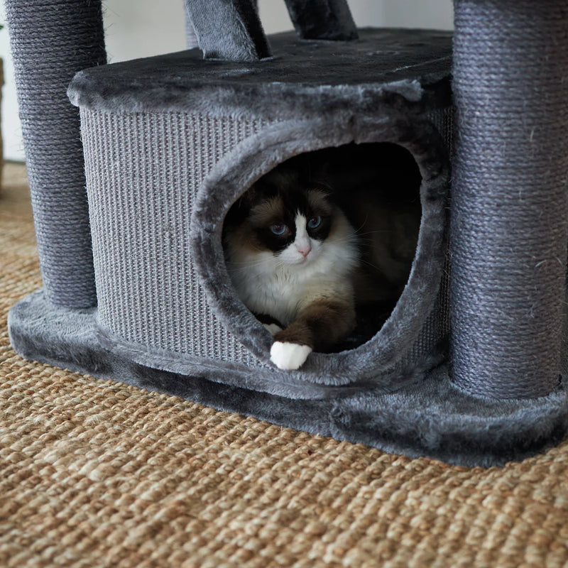 Kazoo Kitty Climb Playground